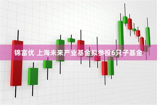 锦富优 上海未来产业基金拟参投6只子基金